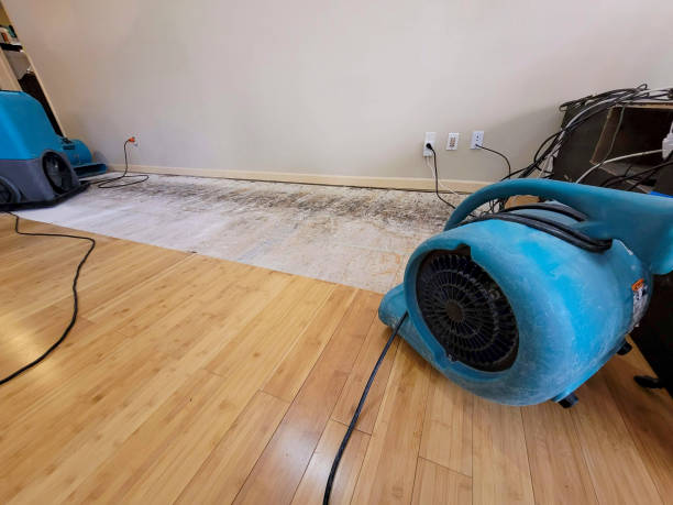 Professional Ceiling Water Damage Repair technician working in Emerson, NJ